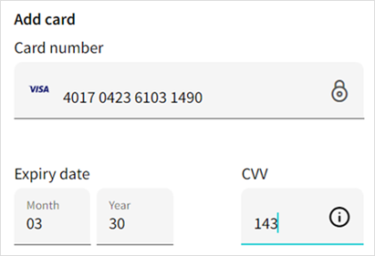 Brand displayed to the left of the Card number field