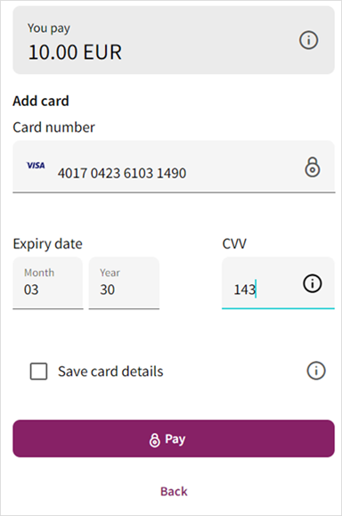 Customer clicks Pay